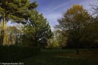 © Copyright Raphael Kessler - Britain - Tree Cathedral 2
