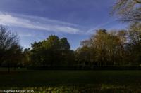 © Copyright Raphael Kessler - Britain - Tree Cathedral 21