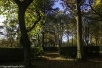 © Copyright Raphael Kessler - Britain - Tree Cathedral 3