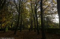 © Copyright Raphael Kessler - Britain - Tree Cathedral 8