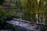 © Copyright Raphael Kessler - Britain - Vyne 1