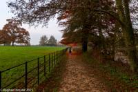 © Copyright Raphael Kessler - Britain - Vyne 14