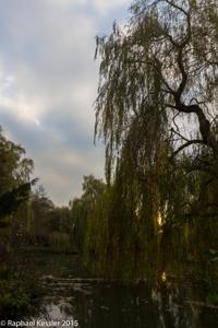 © Copyright Raphael Kessler - Britain - Vyne 2