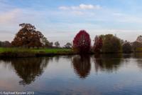 © Copyright Raphael Kessler - Britain - Vyne 3