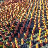 © Copyright Raphael Kessler - Britain - Wakehurst 1