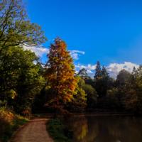 © Copyright Raphael Kessler - Britain - Wakehurst 11