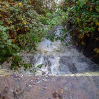 © Copyright Raphael Kessler - Britain - Wakehurst 20