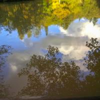 © Copyright Raphael Kessler - Britain - Wakehurst 21