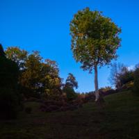 © Copyright Raphael Kessler - Britain - Wakehurst 23