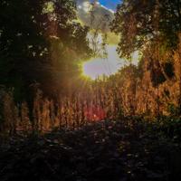 © Copyright Raphael Kessler - Britain - Wakehurst 25