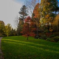 © Copyright Raphael Kessler - Britain - Wakehurst 26