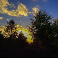 © Copyright Raphael Kessler - Britain - Wakehurst 28