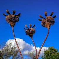 © Copyright Raphael Kessler - Britain - Wakehurst 3