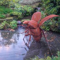 © Copyright Raphael Kessler - Britain - Wakehurst 30