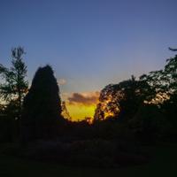 © Copyright Raphael Kessler - Britain - Wakehurst 35