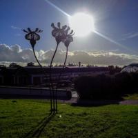 © Copyright Raphael Kessler - Britain - Wakehurst 5