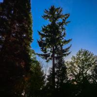 © Copyright Raphael Kessler - Britain - Wakehurst 7