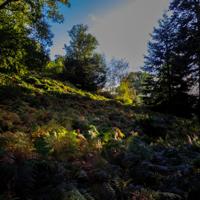 © Copyright Raphael Kessler - Britain - Wakehurst 8