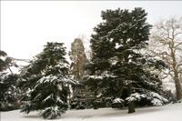 © Copyright Raphael Kessler - Britain - Warwick Castle 12