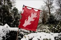 © Copyright Raphael Kessler - Britain - Warwick Castle 28