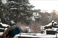 © Copyright Raphael Kessler - Britain - Warwick Castle 41