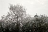 © Copyright Raphael Kessler - Britain - Warwick Castle 46