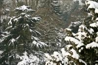 © Copyright Raphael Kessler - Britain - Warwick Castle 50