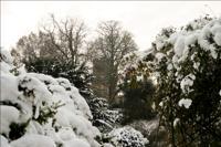 © Copyright Raphael Kessler - Britain - Warwick Castle 60