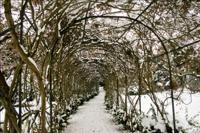 © Copyright Raphael Kessler - Britain - Warwick Castle 7