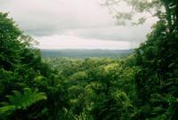 © Copyright Raphael Kessler - Costa Rica - Corcovado national park