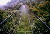 © Copyright - Raphael Kessler 2011 - Costa Rica  - a bridge through the clouds  - not for those with vertigo