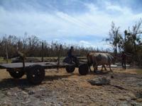 © Copyright - Raphael Kessler 2011 - Cuba - Bay of Pigs clearing