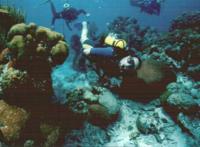 © Copyright Raphael Kessler - Cuba - Me Diving