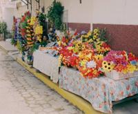 © Copyright Raphael Kessler - El Salvador - Fake florist