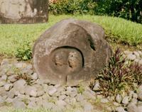 © Copyright - Raphael Kessler 2011 - Guatemala - El Baule Beardies