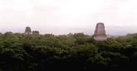 © Copyright - Raphael Kessler 2011 - Guatemala - Tikal - The view from the top of the temple