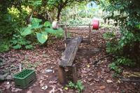 © Copyright Raphael Kessler - Nicaragua - Little Corn Fitness Centre