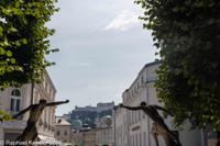 © Copyright Raphael Kessler 2025 – Austria – Salzburg – salzburg 5