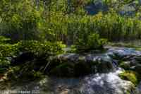 © Copyright Raphael Kessler 2025 – Croatia – Plitvice – plitvice 16