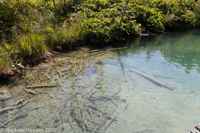 © Copyright Raphael Kessler 2025 – Croatia – Plitvice – plitvice 27