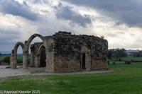 © Copyright Raphael Kessler 2026 – Cyprus – Dali – dali 5