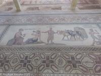 © Copyright Raphael Kessler 2026 – Cyprus – Nea Paphos – nea paphos 11