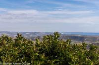 © Copyright Raphael Kessler 2026 – Cyprus – Pissouri – pissouri 4