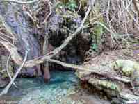 © Copyright Raphael Kessler 2026 – Cyprus – Polis – aphrodite trail 1