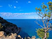 © Copyright Raphael Kessler 2026 – Cyprus – Polis – aphrodite trail 2