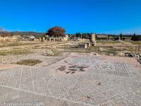 © Copyright Raphael Kessler 2026 – Cyprus – Sanctuary Aphrodite – sanctuary aphrodite 2