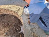 © Copyright Raphael Kessler 2026 – Cyprus – Sanctuary Aphrodite – sanctuary aphrodite 7