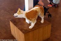 © Copyright Raphael Kessler 2025 – Denmark – Lego dog