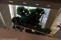 © Copyright Raphael Kessler 2025 – Denmark – Lego tree