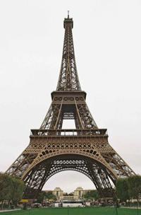 © Copyright Raphael Kessler - France - Cock up